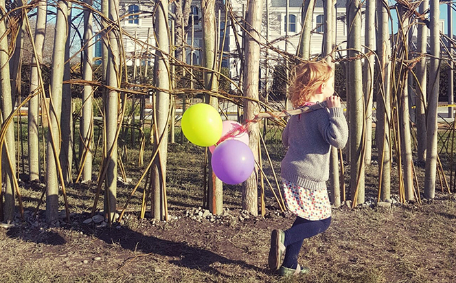 Ara goes placemaking with living willow sculpture .jpg