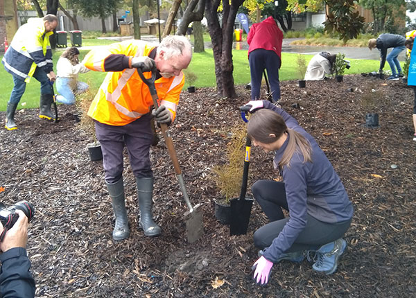 ara-helps-prepare-ground-for-return-of-ti-to-otautahi