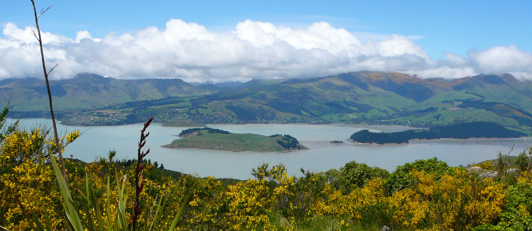 The Port Hills our place.jpg