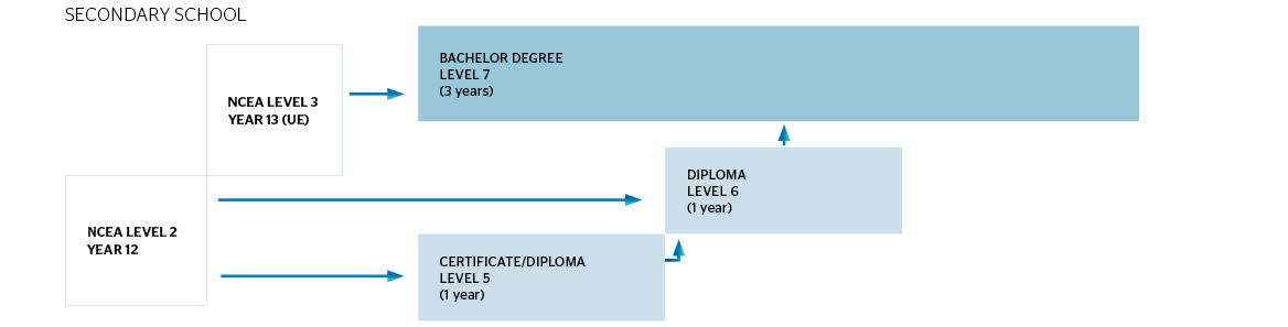 Cropped-04568 A4 International pathway charts_no headings12.png